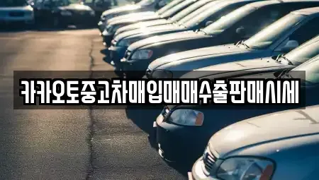 인천 중구 신흥동3가 중고차매입 전문 카카오토중고차매입매매수출판매시세