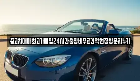 인천 중구 해안동1가 중고차 전문 중고차매매최고가매입24시간출장비무료견적현장방문지누카