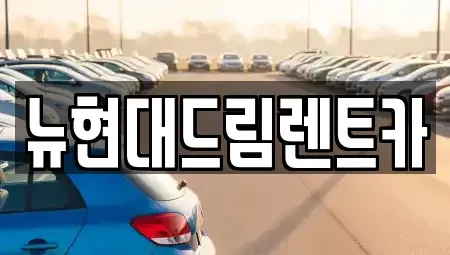 인천광역시 계양구 하야동 렌트카 전문 뉴현대드림렌트카