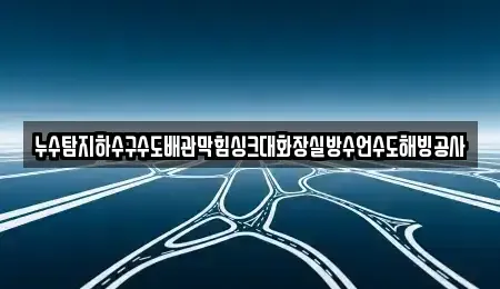 인천광역시 계양구 하야동 중고차매입 전문 누수탐지하수구수도배관막힘싱크대화장실방수언수도해빙공사