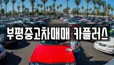 인천광역시 부평구 삼산동 중고차매매 전문 부평중고차매매 카플러스