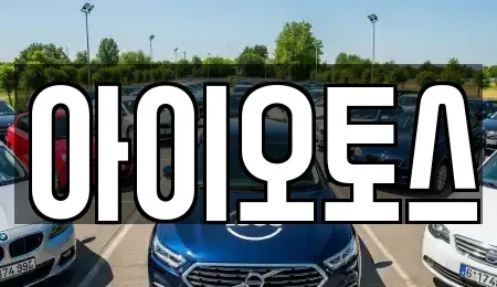 인천광역시 부평구 삼산동 중고차매매 전문 아이오토스