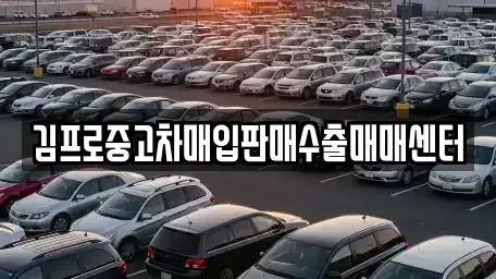 전남 나주시 삼도동 중고차매매 전문 김프로중고차매입판매수출매매센터