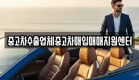 전남 나주시 삼도동 중고차매매 전문 중고차수출업체중고차매입매매지원센터