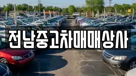 전남 순천시 금곡동 중고차매매 전문 전남중고차매매상사