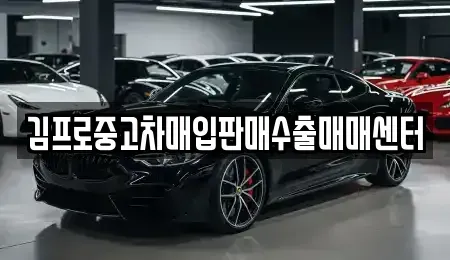 전남 순천시 금곡동 중고차매입 전문 김프로중고차매입판매수출매매센터