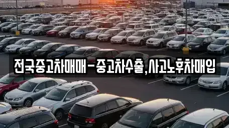 전남 순천시 금곡동 중고차매입 전문 전국중고차매매-중고차수출,사고노후차매입