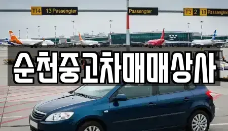 전남 완도군 금일읍 중고차매매,단기렌트카,중고차매입,장기렌트카,중고차,렌트카