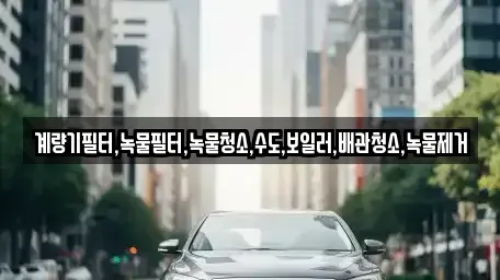 전라남도 순천시 서면 렌트카 전문 계량기필터,녹물필터,녹물청소,수도,보일러,배관청소,녹물제거