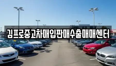 전라남도 장성군 진원면 중고차 전문 김프로중고차매입판매수출매매센터