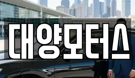 전라남도 장성군 진원면 중고차 전문 대양모터스