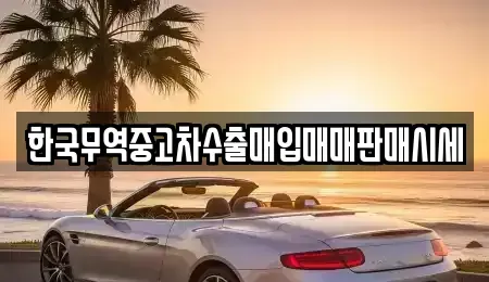 전북 익산시 주현동 중고차 전문 한국무역중고차수출매입매매판매시세