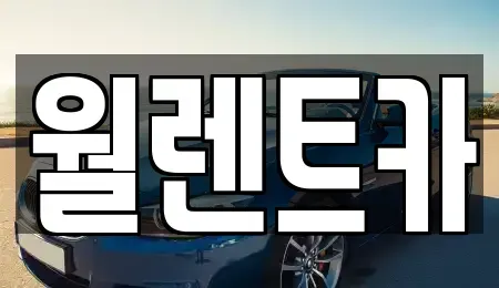 충남 천안시 서북구 성환읍 렌트카 전문 월렌트카