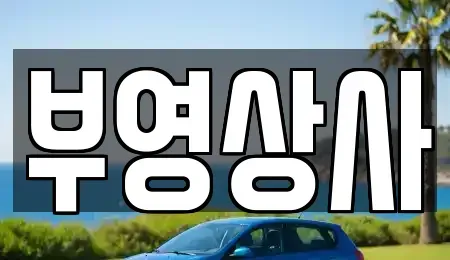 충남 천안시 서북구 성환읍 장기렌트카,중고차,렌트카,단기렌트카,중고차매입,중고차매매