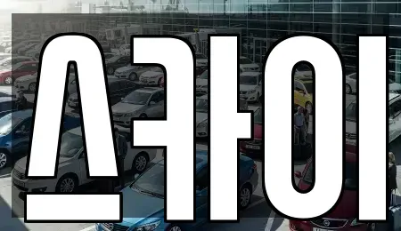 충남 홍성군 홍동면 렌트카 전문 스카이