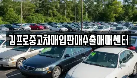 충남 홍성군 홍동면 중고차매입 전문 김프로중고차매입판매수출매매센터