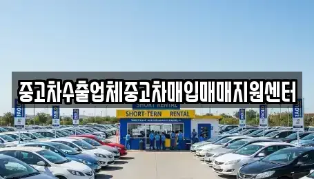 충남 홍성군 홍동면 중고차매입 전문 중고차수출업체중고차매입매매지원센터
