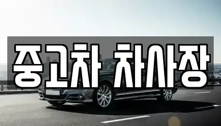 충북 보은군 내북면 중고차 전문 중고차 차사장