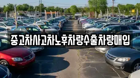 충북 옥천군 군북면 중고차매입 전문 중고차사고차노후차량수출차량매입