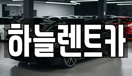 충청남도 보령시 남포면 렌트카 전문 하늘렌트카