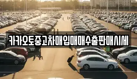 충청남도 보령시 남포면 중고차매입 전문 카카오토중고차매입매매수출판매시세