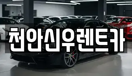 충청남도 천안시 서북구 단기렌트카 전문 천안신우렌트카