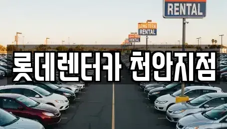 충청남도 천안시 서북구 렌트카 전문 롯데렌터카 천안지점