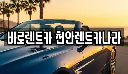 충청남도 천안시 서북구 렌트카 전문 바로렌트카 천안렌트카나라