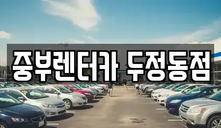 충청남도 천안시 서북구 렌트카 전문 중부렌터카 두정동점