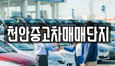 충청남도 천안시 서북구 중고차 전문 천안중고차매매단지