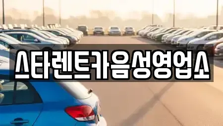 충청북도 음성군 음성읍 렌트카 전문 스타렌트카음성영업소