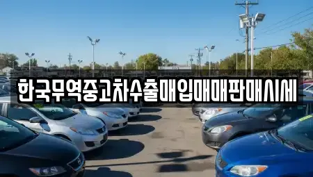 충청북도 음성군 음성읍 중고차매입 전문 한국무역중고차수출매입매매판매시세