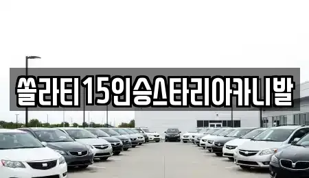 충청북도 충주시 주덕읍 렌트카 전문 쏠라티15인승스타리아카니발