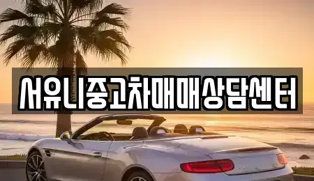 충청북도 충주시 주덕읍 중고차매매 전문 서유니중고차매매상담센터